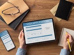 End-to-end support for Visa Success